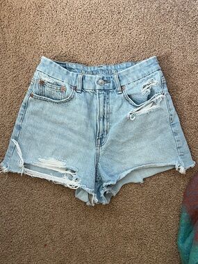American Eagle Outfitters Light Wash Distressed Denim Shorts
